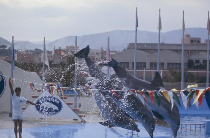 Marineland Catalunya