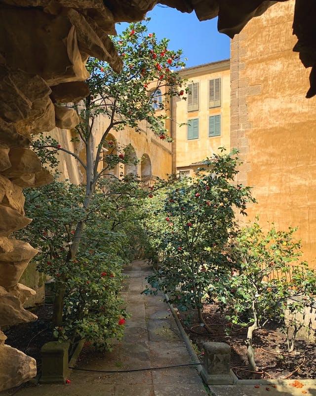 Garden of Camellias of Boboli Gardens