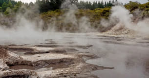 2f1sseezq4xrwfqwe34qsxshj13m 1583919482 222