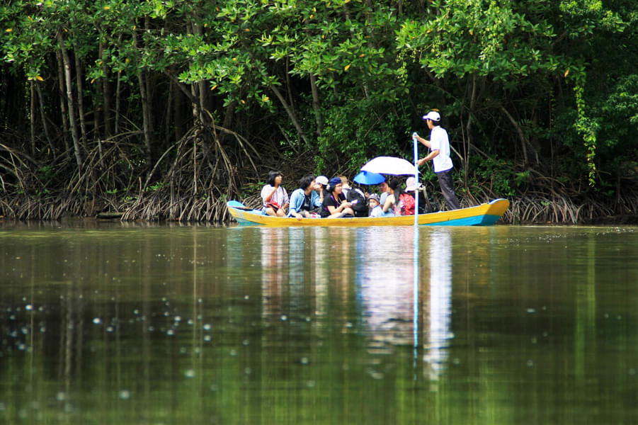 Can Gio Day Tour from Ho Chi Minh Image