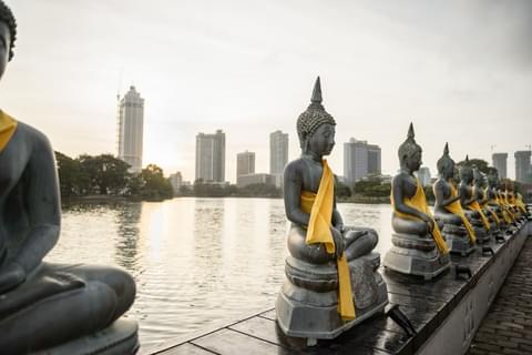 Activity & SightSeeing Image