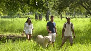 2fuqwzscy5ajbmyp1r6ch1po9afa casela world of adventures