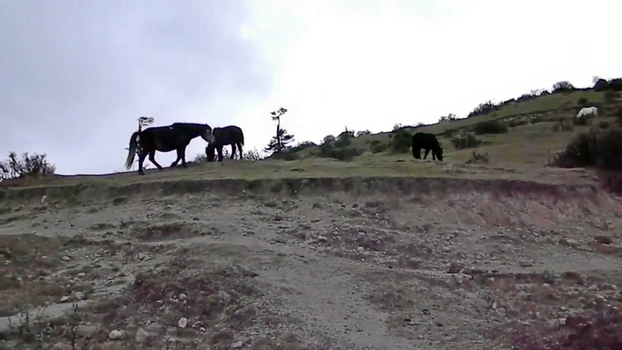 Photo from Rudra Jain's trip