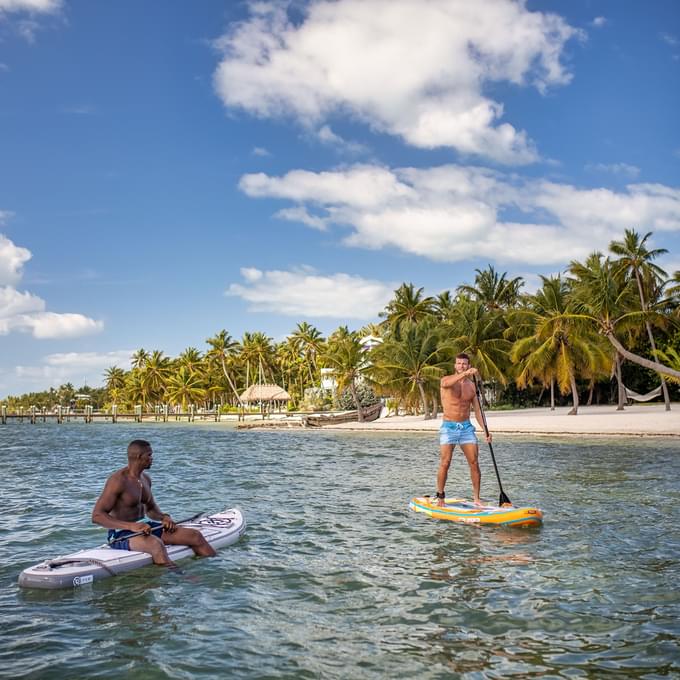 Paddling Around the Palm