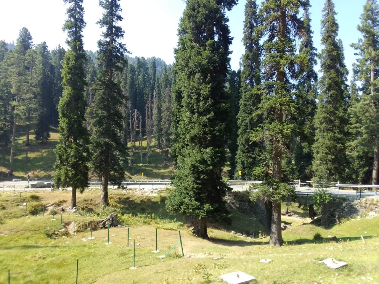 Photo from Bishakha Anand's trip