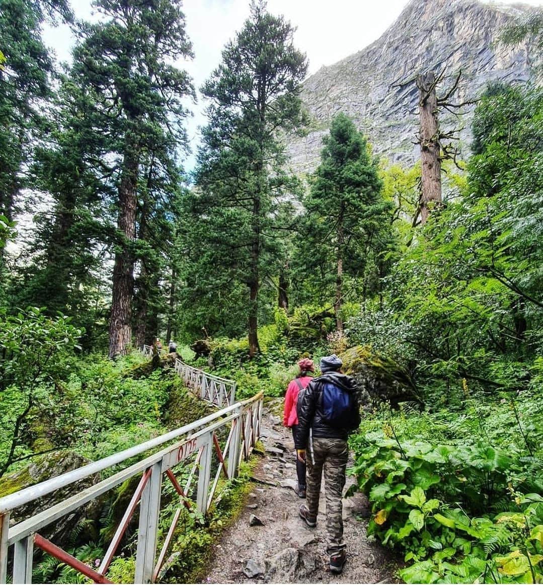 Trek the Trails