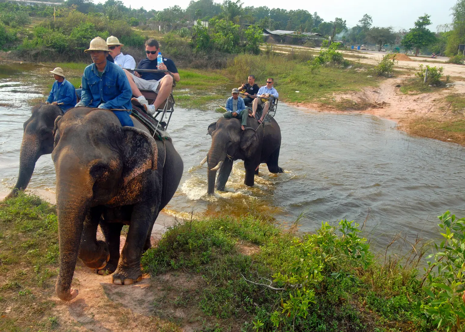 Elephant Village