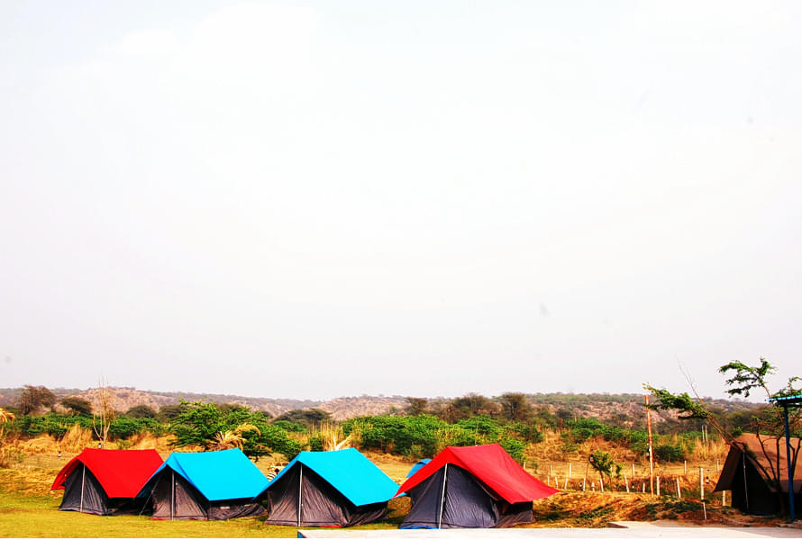Camping Near Delhi For A Weekend Getaway Image