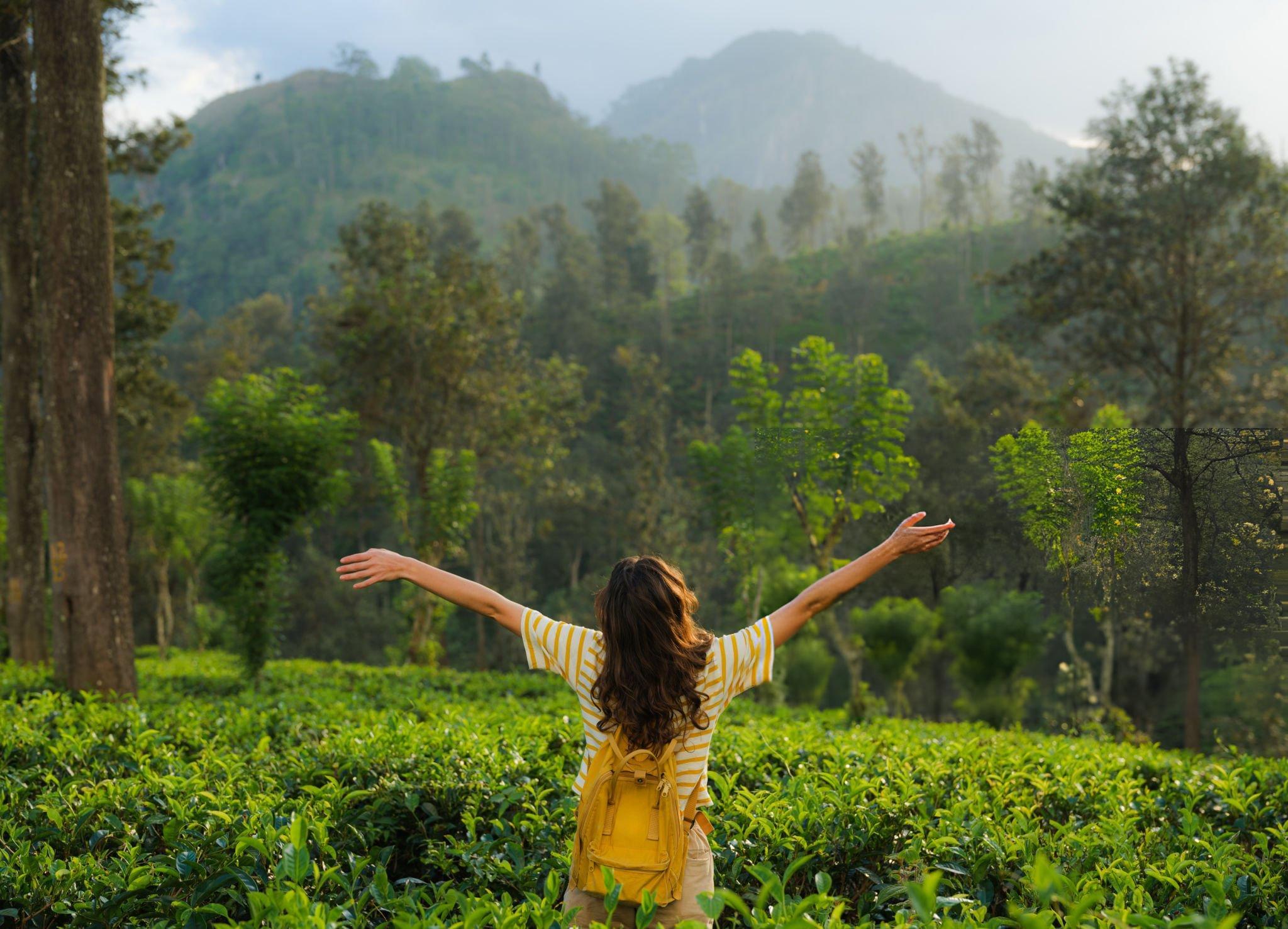 Tourist enjoying the serene views of the landscape, Kerala