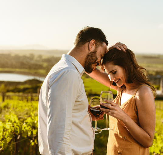 Indulge in wine tasting experience at stellenbosch