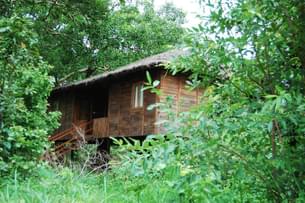 Tiger N Woods Resort Pench Exterior View