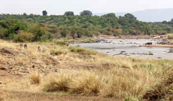 2hy2uyeyhxyus411kkc14fcohc30 1481609226 laika ac mara triangle (9701298161)