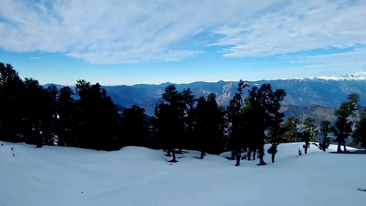 Photo from Nalini Sharma's trip