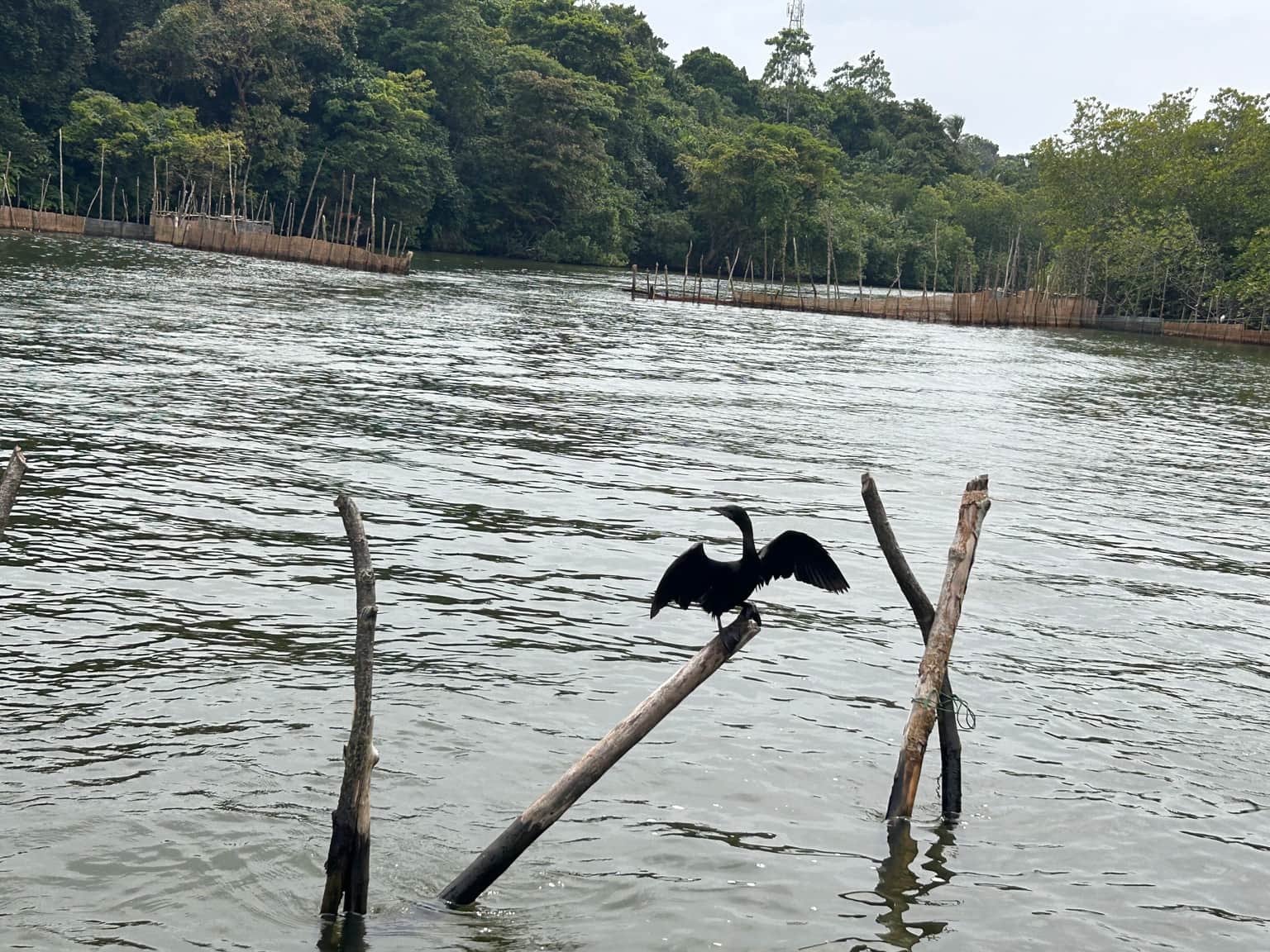 Photo from Sujeeth 's trip
