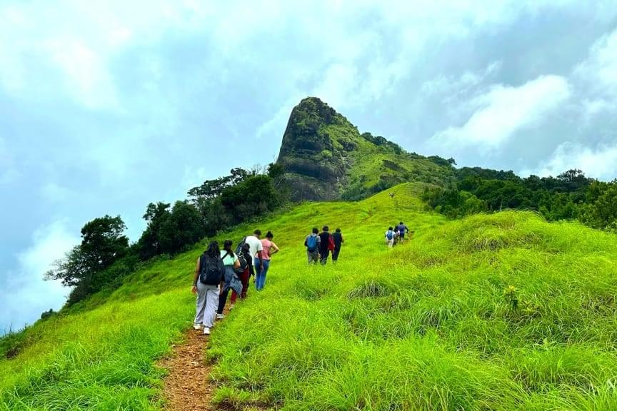 Kurinjal Peak Trek Image