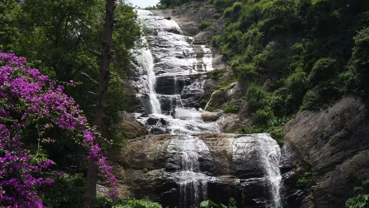 Bear Shola Falls , <em>Tamil Nadu</em>