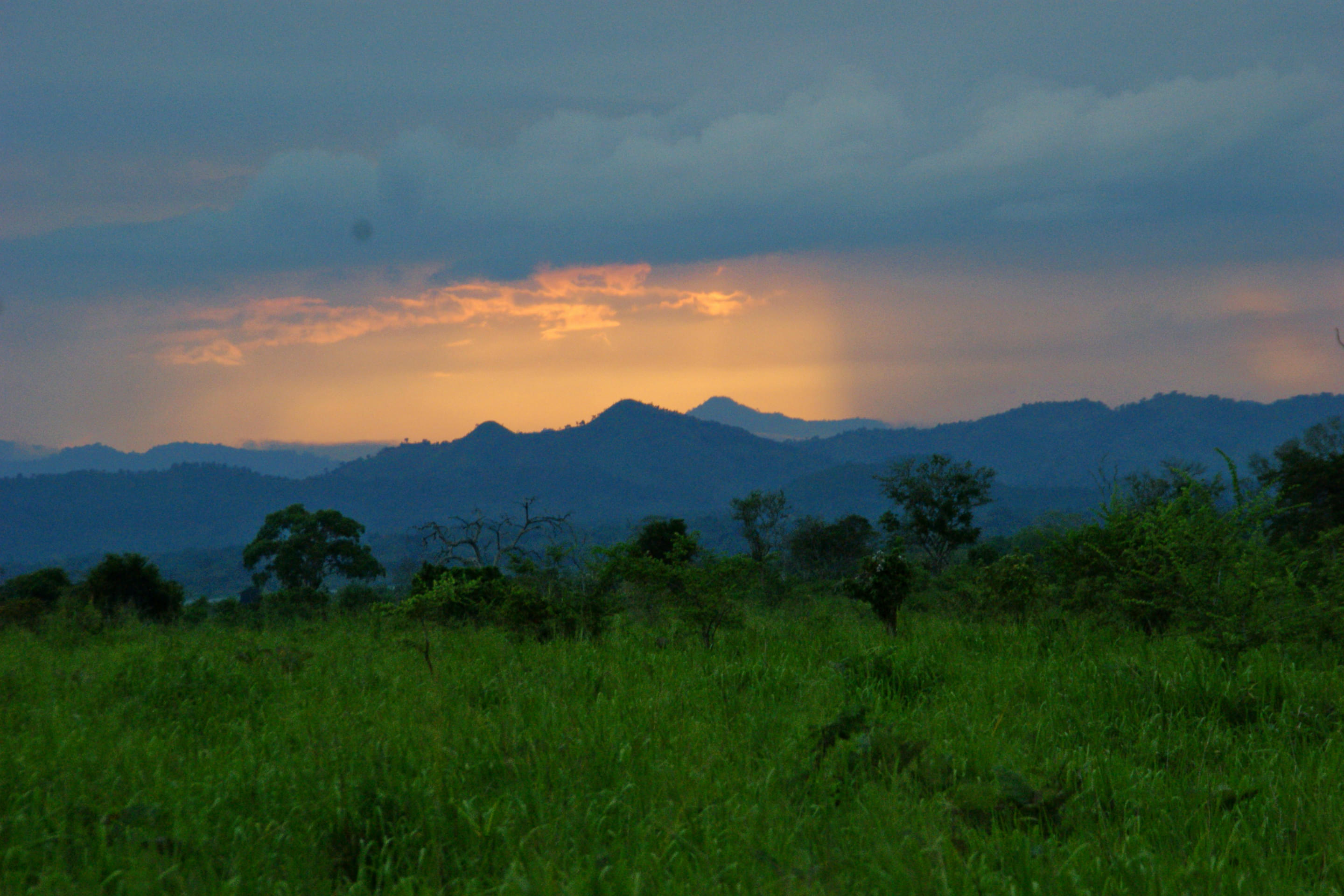 Udawalawe National Park Overview
