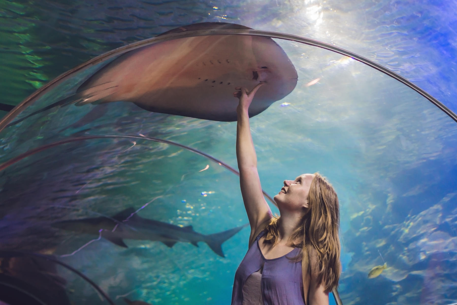 Explore the majestic Dubai Aquarium