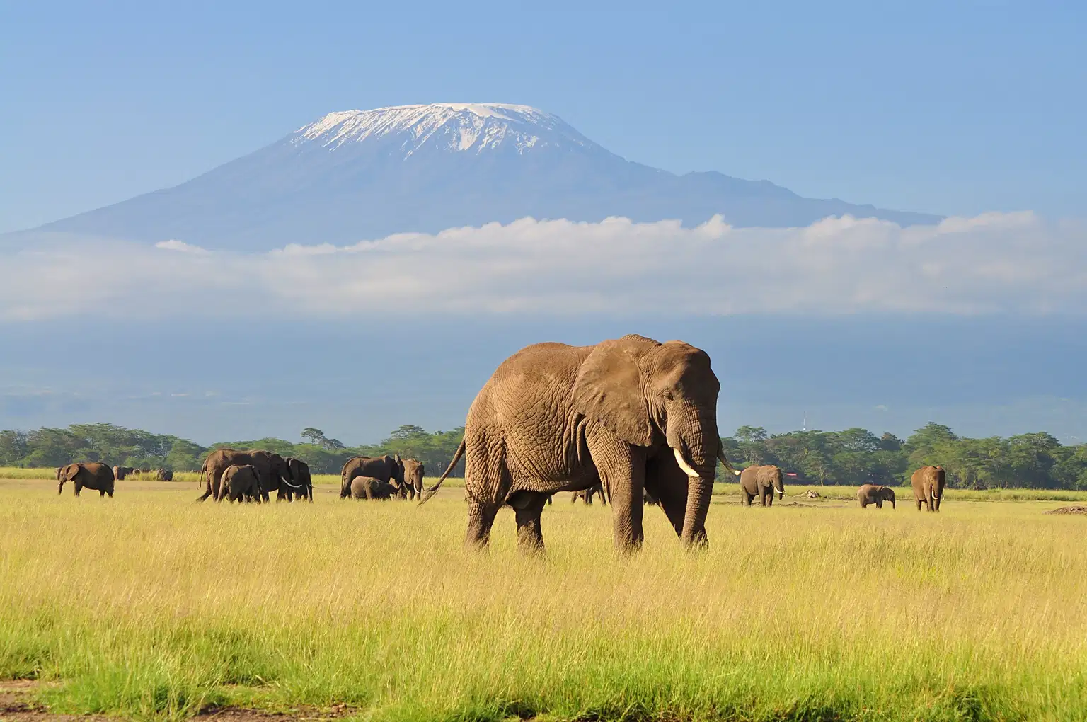 Kenya In A Nutshell | Group Tour Package