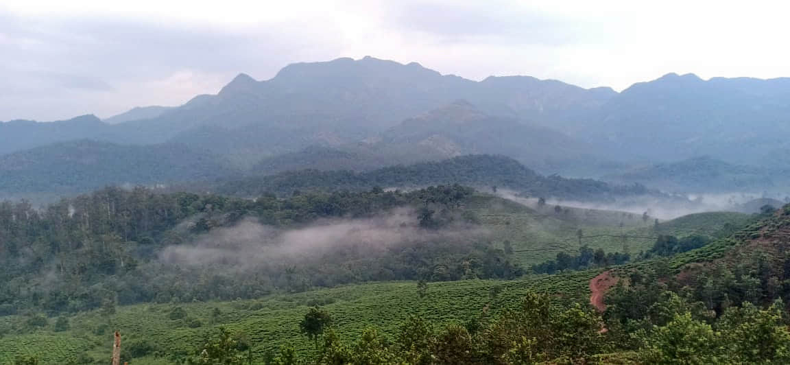 Photo from jomy john's trip