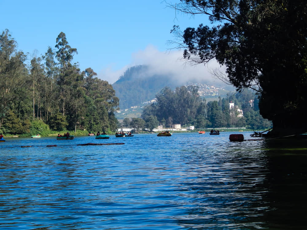 Key Experiences to Have in Ooty