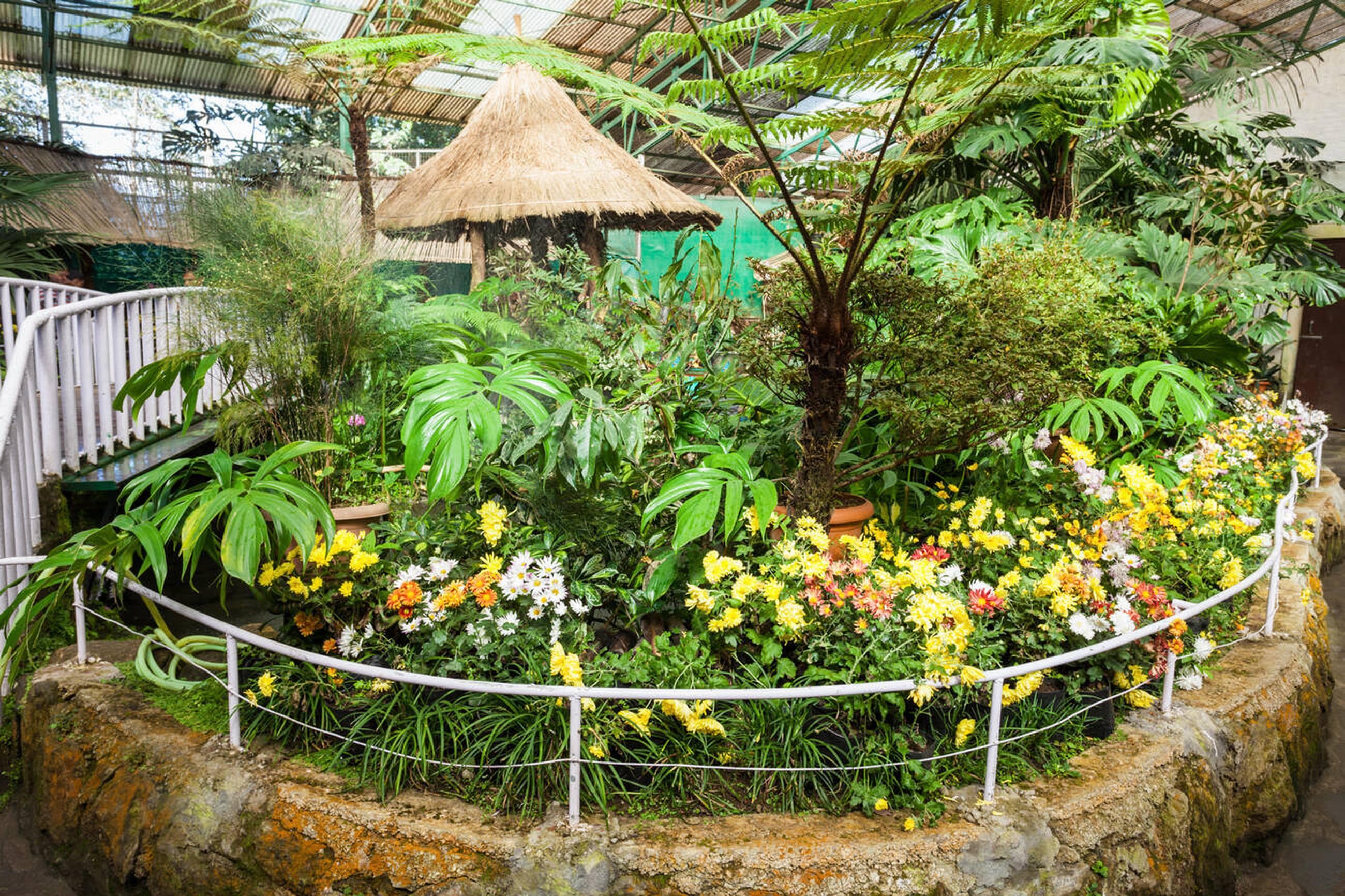 Attend the Annual Flower Show