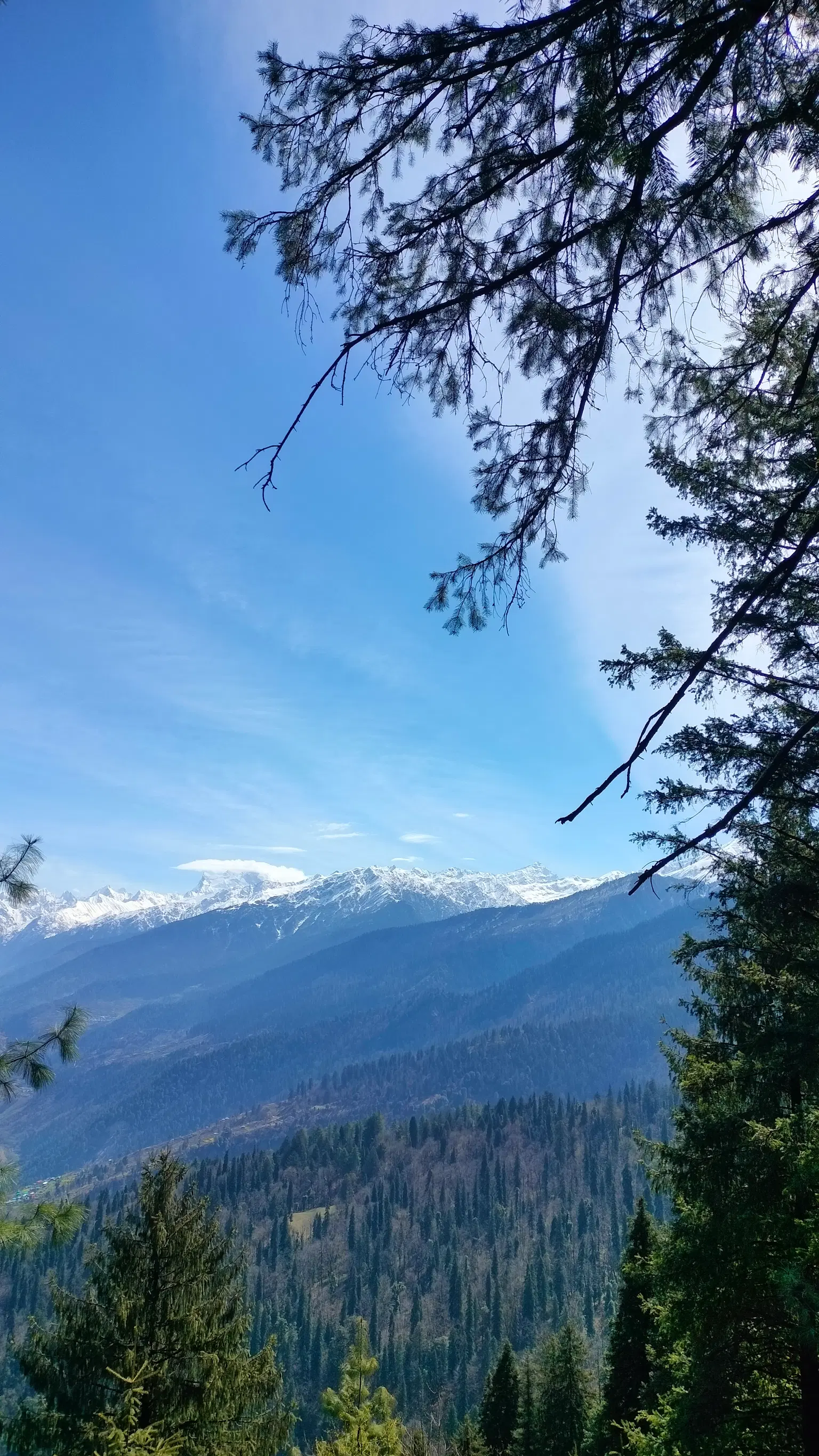 Photo from Ayan  Debnath's trip