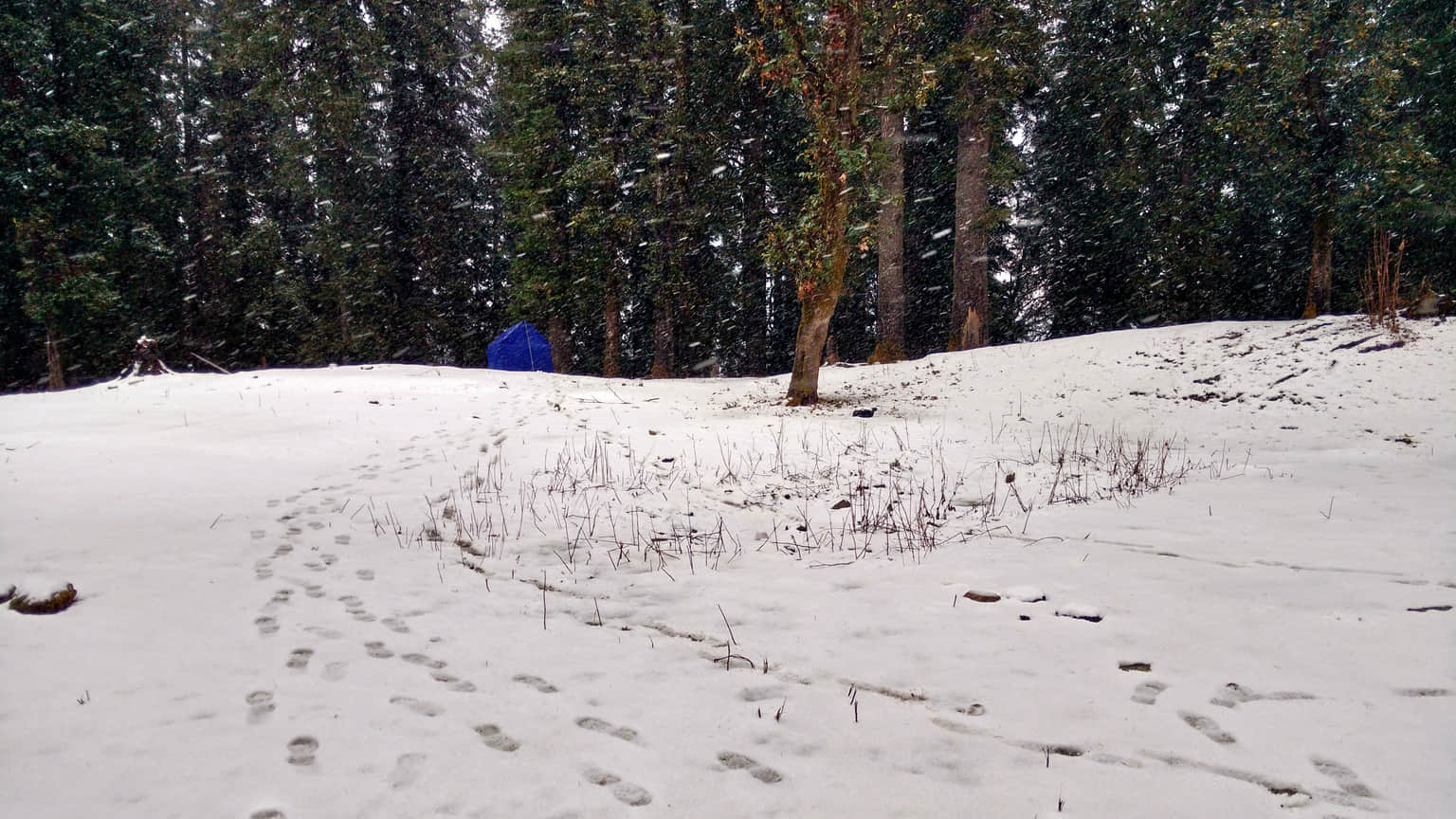 Photo from Vishwamitra Malik's trip