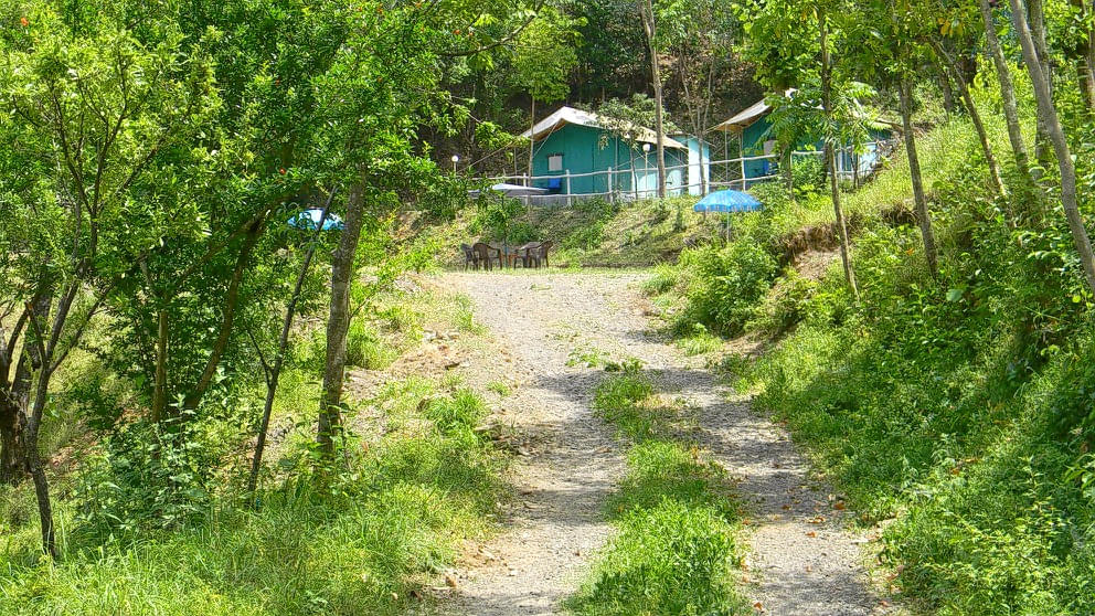 Enchanting Shimla Camp Escape Image