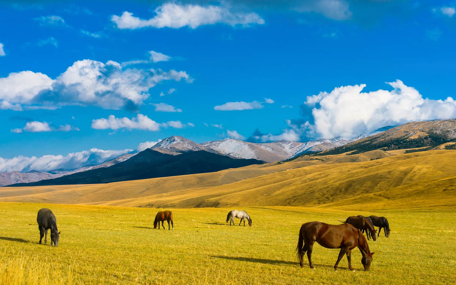 <em>Kazakhstan</em> Tour Packages From Cochin 
