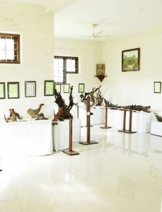 Observe Unique Sculptures
