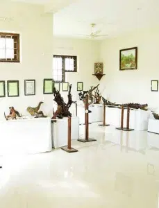 Observe Unique Sculptures