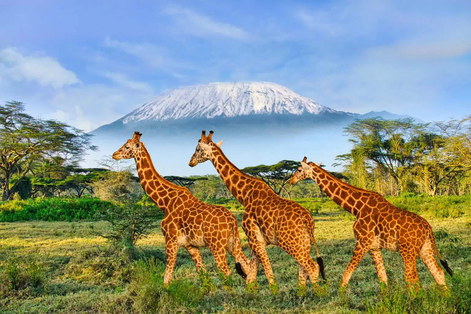 Kenya Wildlife Wonders | Group Tour Package