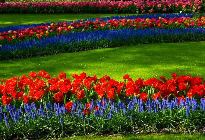 Cottage Garden In Keukenhof gardens