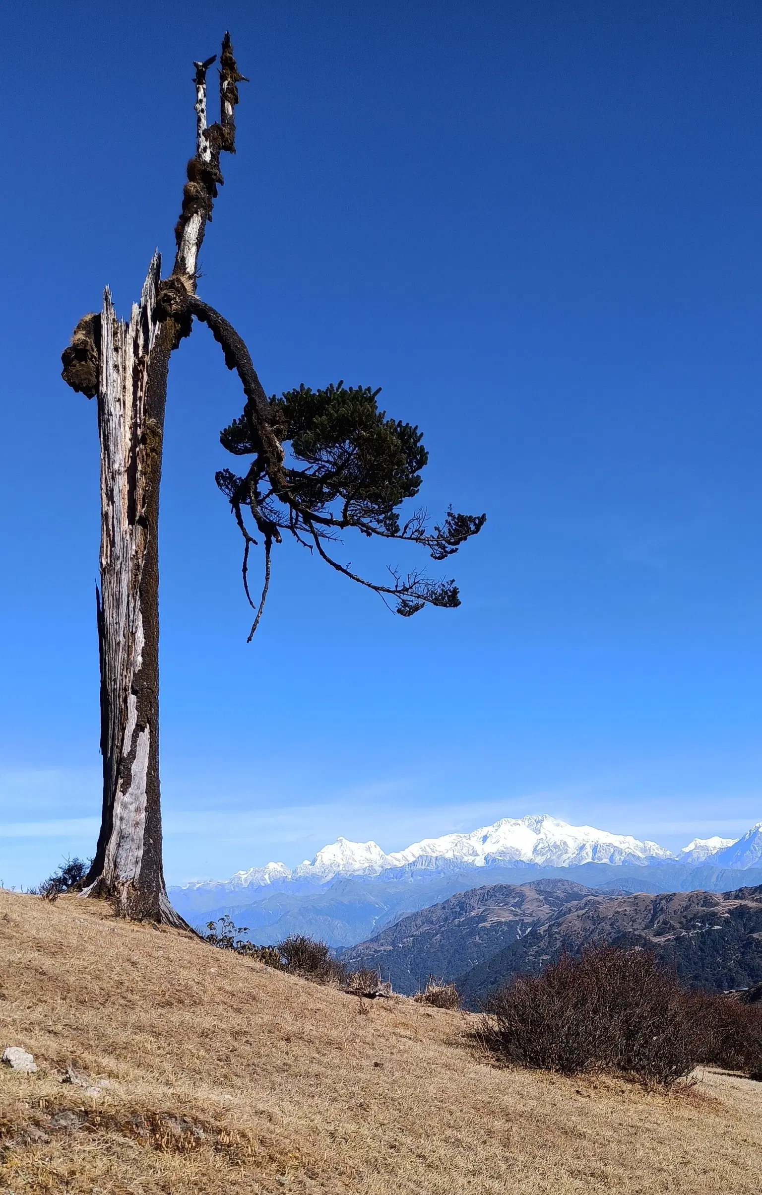 Photo from Krishnendu raha's trip