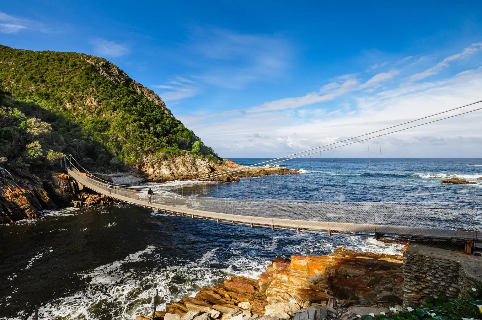Treasures of South Africa | Safari Stories and Scenic Delights