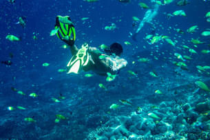 2lmn5iaz0vw1dondpx55487eftu0 snorkelling 1