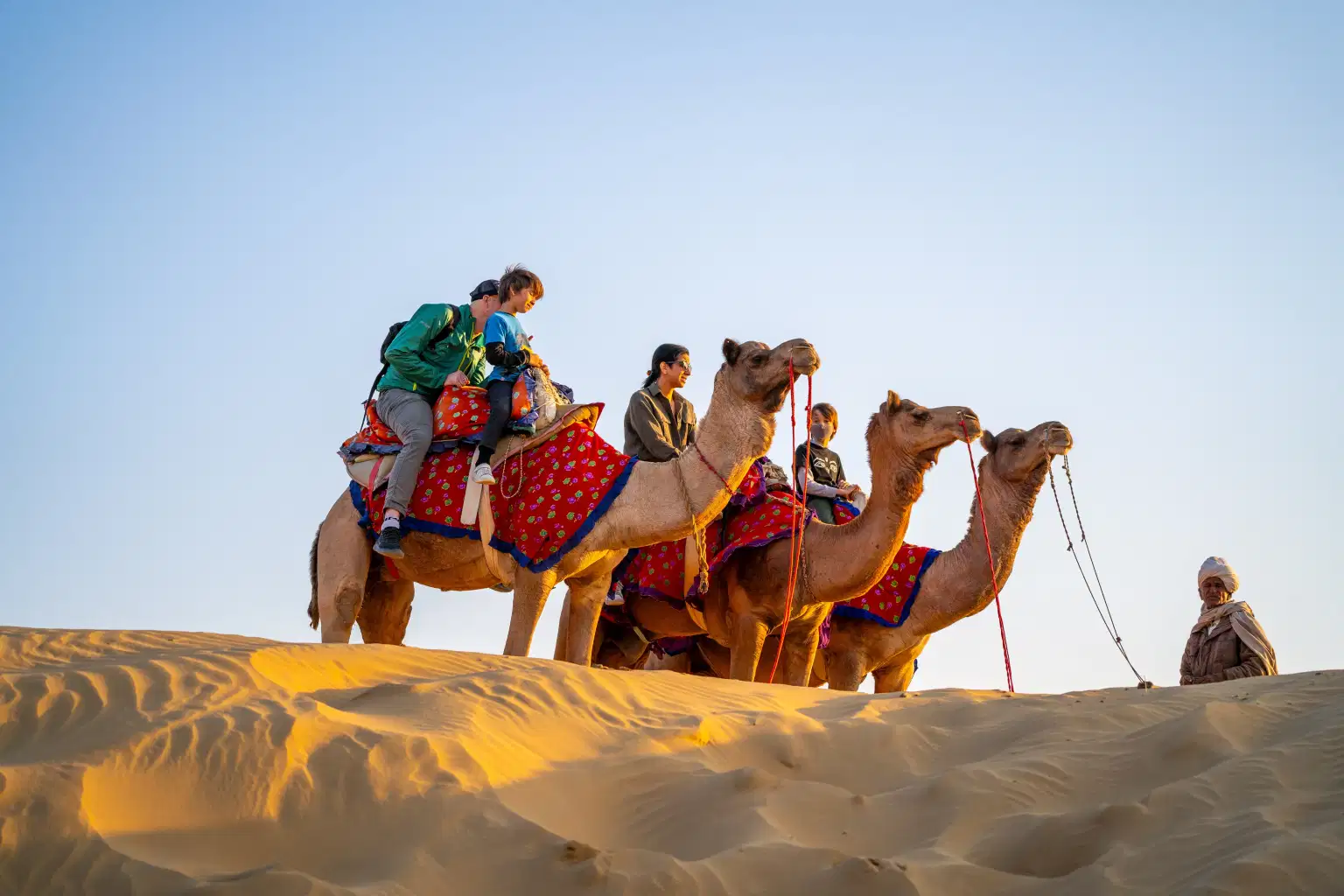 Full Day Camel Safari in Bikaner