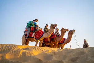 Go for a camel ride on full day camel safari in Bikaner 