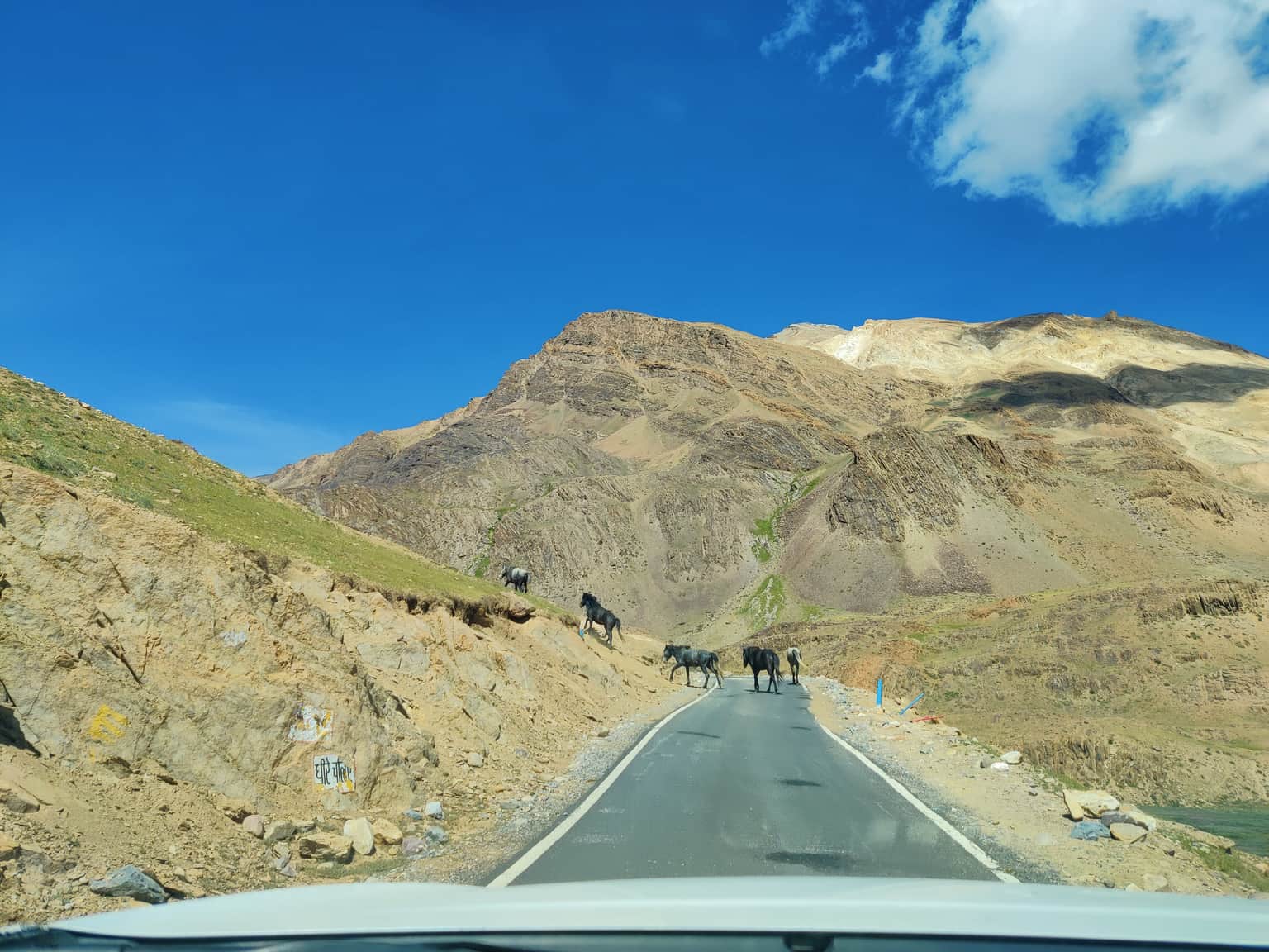 Photo from Samir Choudhary's trip