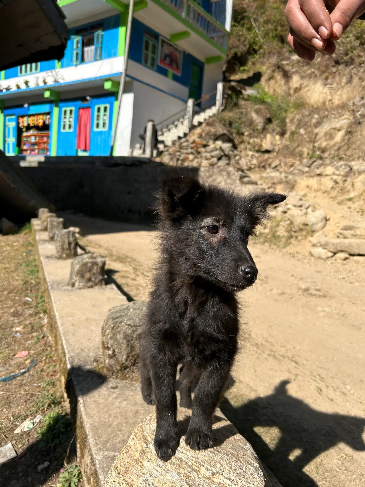 Traveller photo