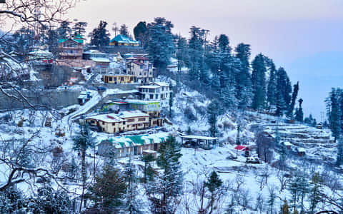 Skiing in Kufri