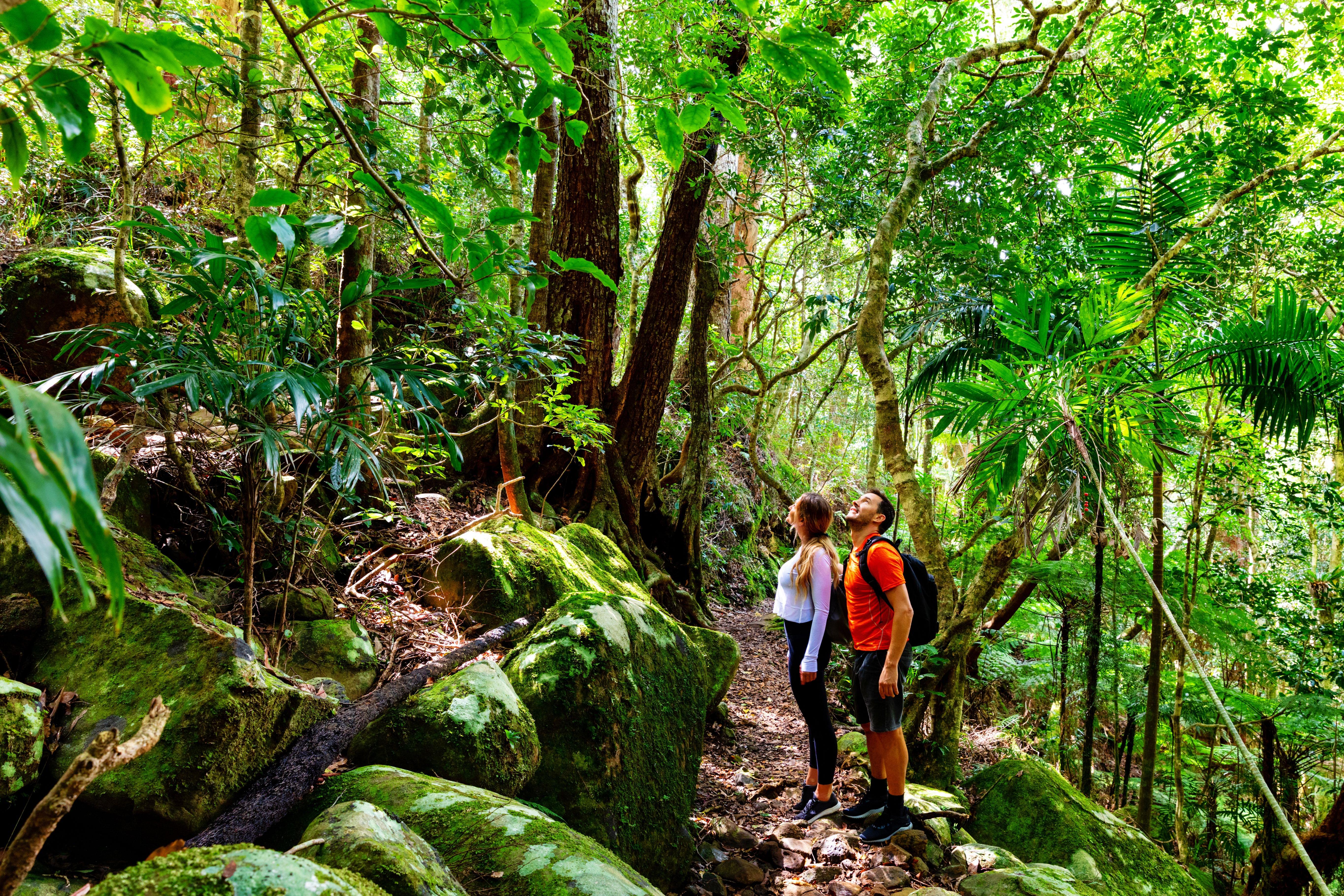 Binna Burra Lower Day-use Area