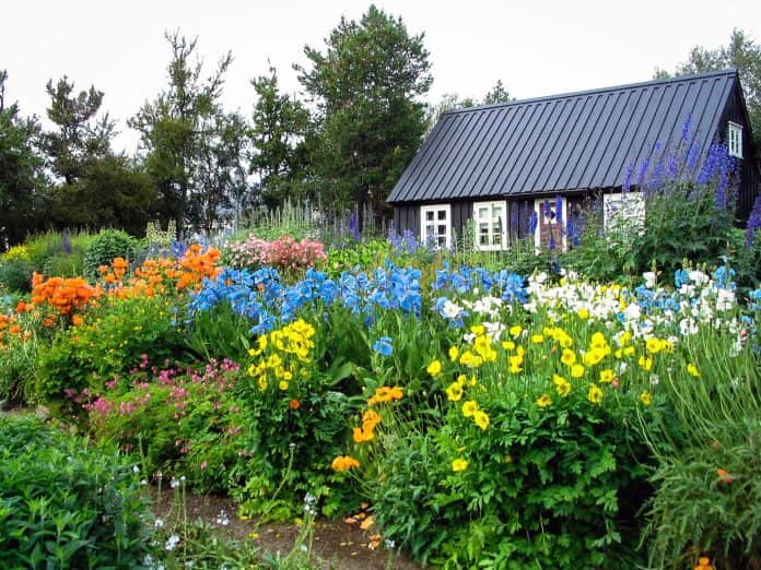 Akureyri Botanical Garden, <em>Akureyri</em>