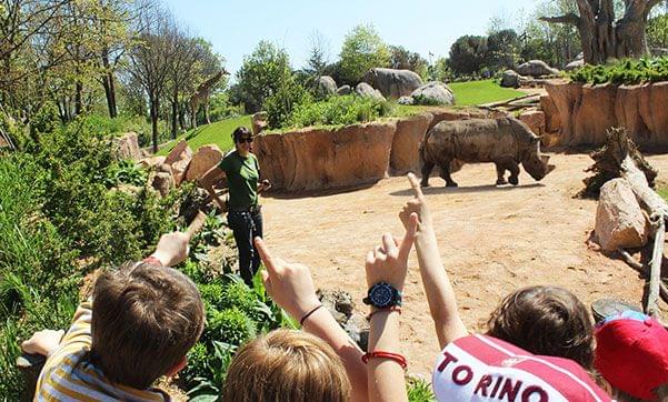 People watching Rhino in Zoom Torino Zoo