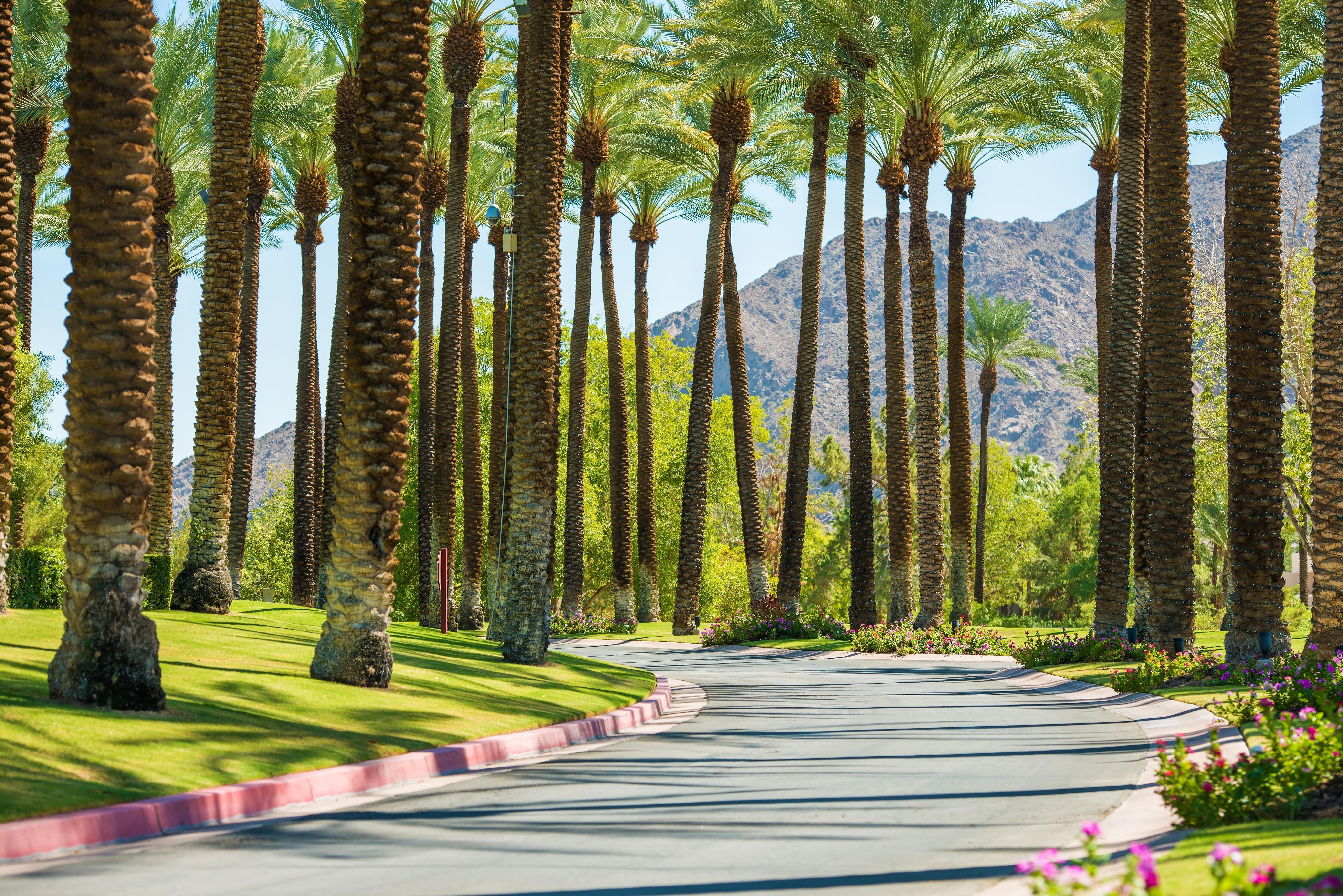 Palm Springs Tour Packages | Upto 40% Off