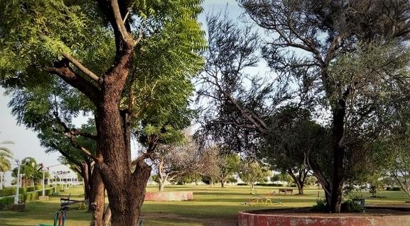 Falaj Al Mualla Garden Park Picnic 