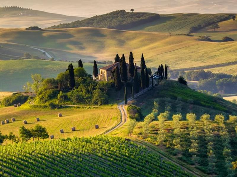 Pisa, Siena & San Gimignano Day Trip with Lunch from Florence