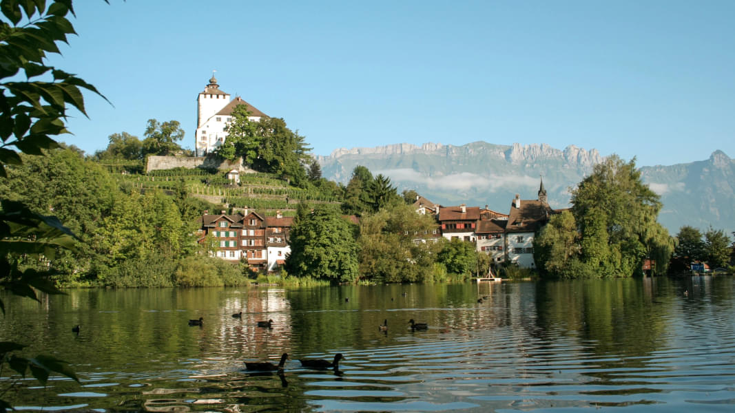 Heidiland and Liechtenstein Tour From Zurich Image