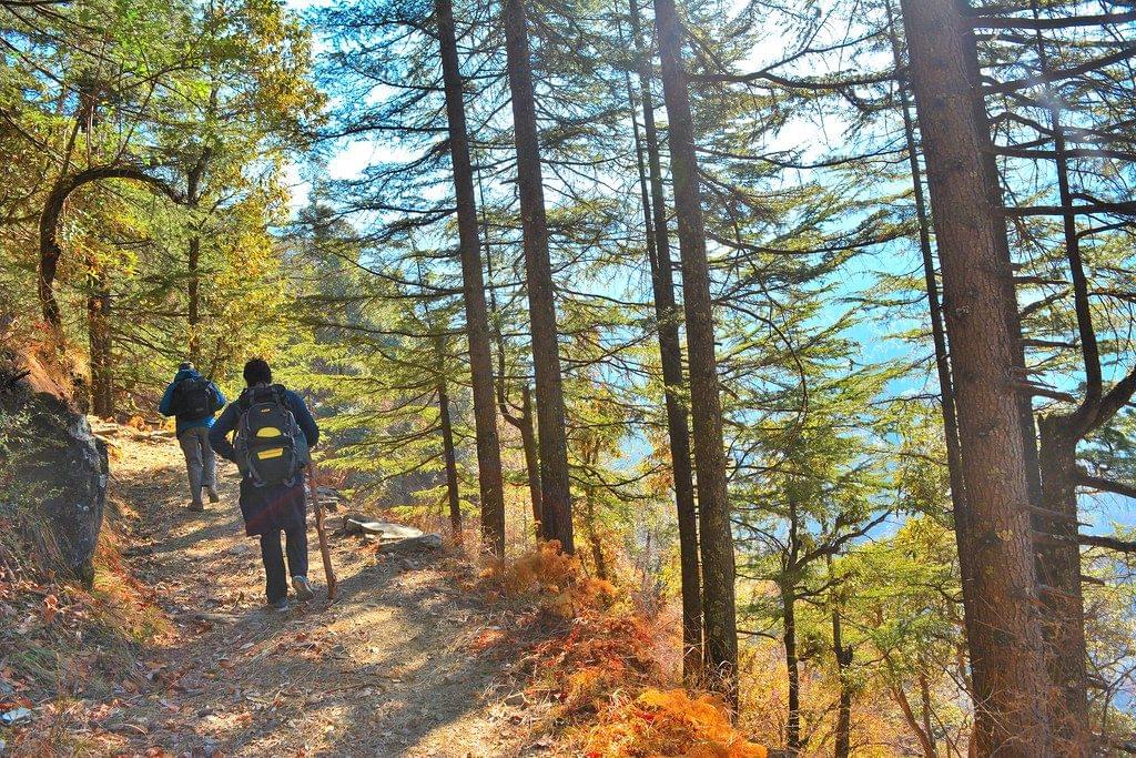 Kheerganga Trek